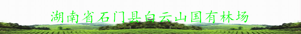 ����ͼƬһ